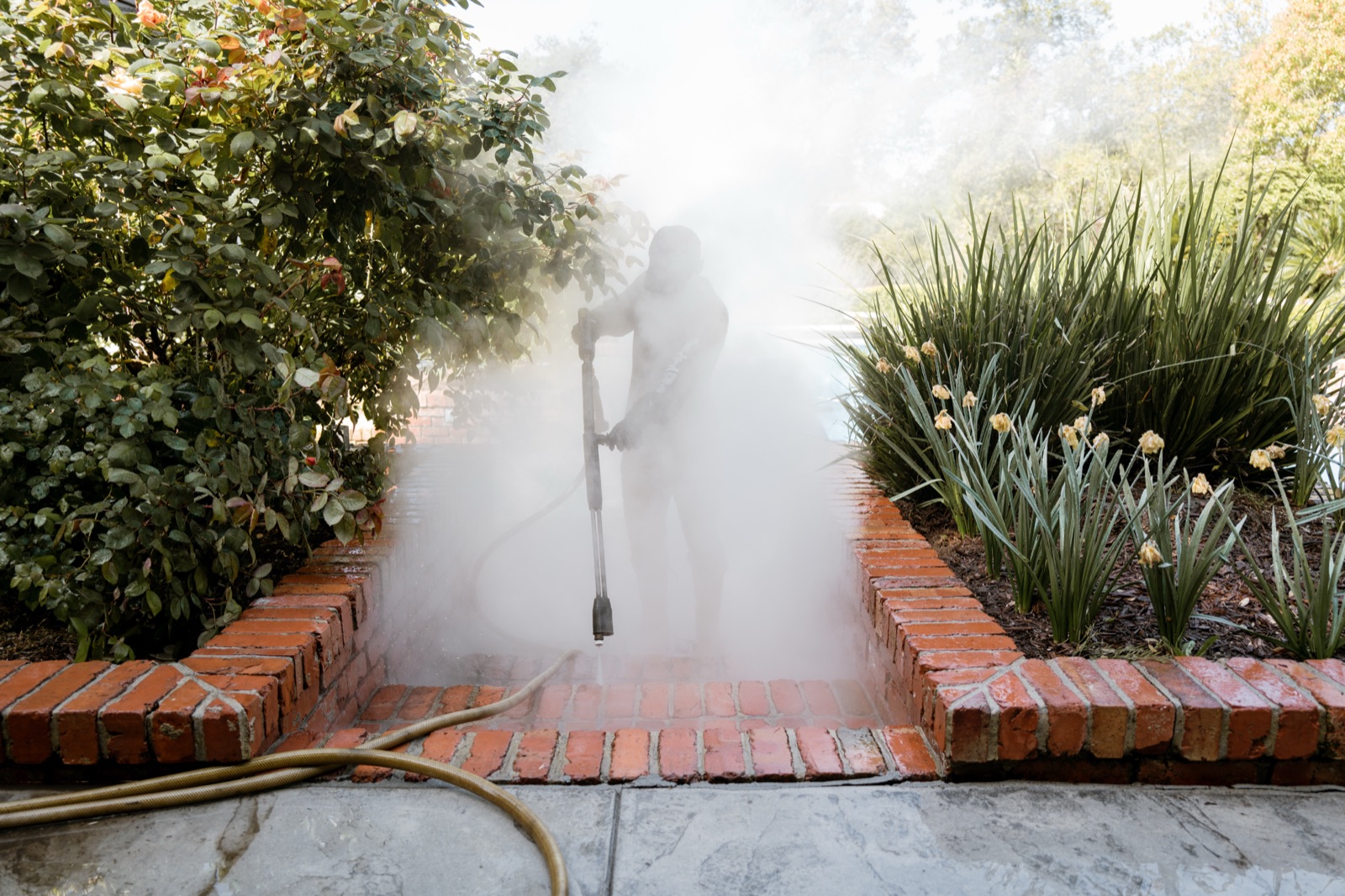 Roof cleaning result — moss and stains lifted, shingles protected